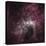 Infrared View of the Carina Nebula-null-Premier Image Canvas