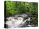 Ingleton Waterfalls, River Twiss, Ingleton, Yorkshire Dales, Yorkshire, England, UK, Europe-Chris Hepburn-Premier Image Canvas