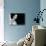 Ingmar Bergman-null-Premier Image Canvas displayed on a wall