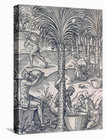 Inhabitants of Cape Verde Making Drinks from Palm Trees, Engraving from Universal Cosmology-Andre Thevet-Premier Image Canvas