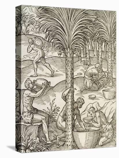 Inhabitants of Cape Verde Making Drinks from Palm Trees, Engraving from Universal Cosmology-Andre Thevet-Premier Image Canvas