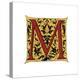 Initial Letter M-Henry Shaw-Premier Image Canvas