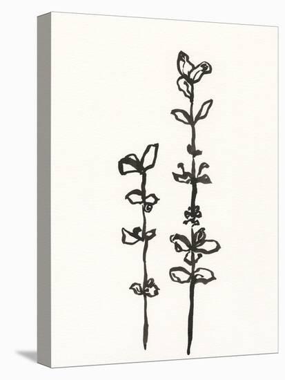 Ink Botanical Sketch VIII-J. Holland-Stretched Canvas