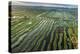 Inle Lake, Shan State, Myanmar (Burma), Asia-Janette Hill-Premier Image Canvas