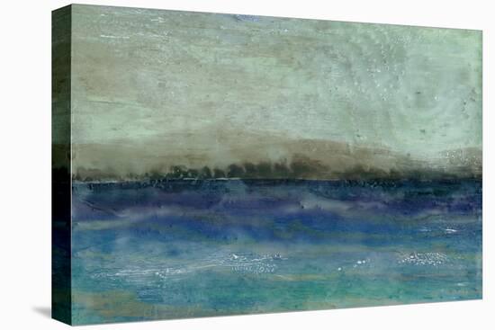 Inlet View II-Alicia Ludwig-Stretched Canvas