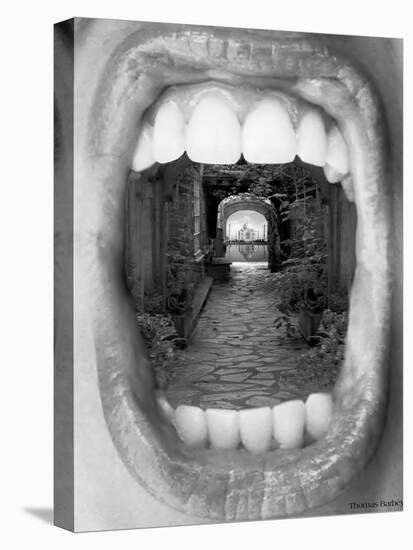 Inner Beauty-Thomas Barbey-Premier Image Canvas