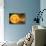 Inner Solar System, Artwork-Henning Dalhoff-Premier Image Canvas displayed on a wall