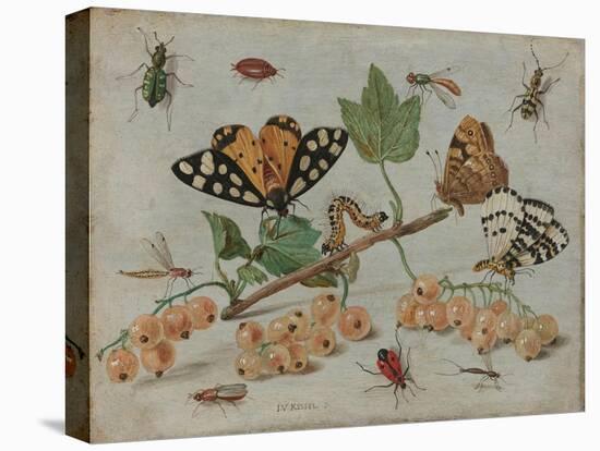 Insects and Fruit, c.1660-5-Jan Van, The Elder Kessel-Premier Image Canvas