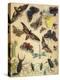 Insects-Richard Andre-Premier Image Canvas