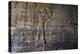 Inside Karnak Temple, Luxor, Thebes, Egypt, North Africa-David Pickford-Premier Image Canvas