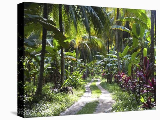 Inside of Parque Tayrona, Playa De Los Angeles and the Adjoining Rain Forest, Taganga, Colombia-Micah Wright-Premier Image Canvas