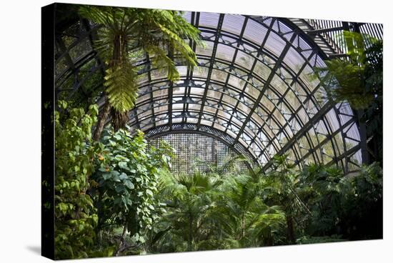 Inside the Botanical Building in Balboa Park in San Diego, California.  inside are over 350 Species-pdb1-Premier Image Canvas