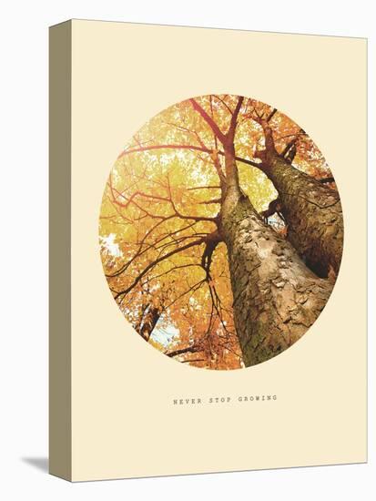 Inspirational Circle Design - Autumn Trees: Never Stop Growing-Subbotina Anna-Stretched Canvas