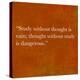 Inspirational Quote By Confucius On Earthy Background-nagib-Stretched Canvas