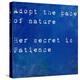 Inspirational Quote By Ralph Waldo Emmerson On Earthy Blue Background-nagib-Stretched Canvas