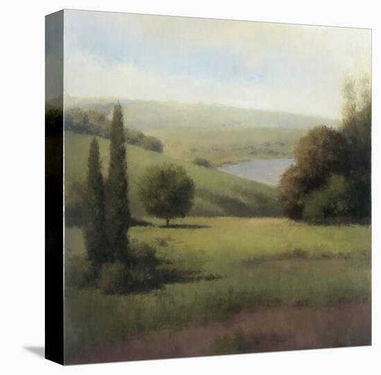 Inspired Hillsides II-Udell-Stretched Canvas