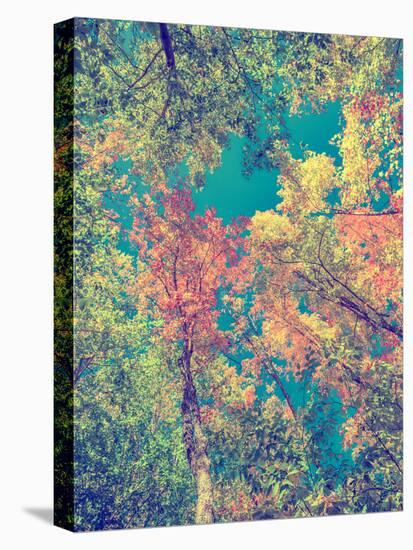 Instagram Autumn Leaves-SHS Photography-Premier Image Canvas