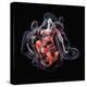 Insulin Molecule-Visual Science-Premier Image Canvas