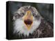 Intensity !!!-Alfred Forns-Premier Image Canvas