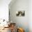 Interior, Mission Dolores, San Francisco, California-null-Stretched Canvas displayed on a wall