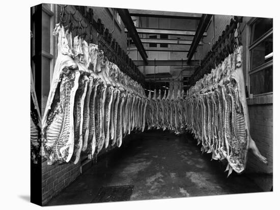 Interior of a Butchery Factory, Rawmarsh, South Yorkshire, 1955-Michael Walters-Premier Image Canvas