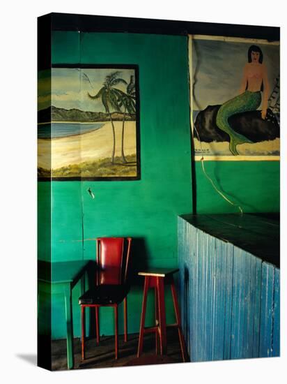 Interior of Bar with Mermaid Mural, Tela, Honduras-Jeffrey Becom-Premier Image Canvas