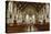 Interior of St Marys Catholic Church, Belfast, Northern Ireland, 2010-Peter Thompson-Premier Image Canvas