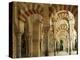 Interior of the Great Mosque, Unesco World Heritage Site, Cordoba, Andalucia, Spain-Michael Busselle-Premier Image Canvas