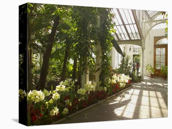 Interior of the Temperate House, Kew Gardens, Unesco World Heritage Site, London, England-David Hughes-Premier Image Canvas