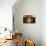 Interior of Wine Cellar (Caveau) of Chateau de Ventenac-En-Minervois, Languedoc-Roussillon, France-Nick Servian-Premier Image Canvas displayed on a wall