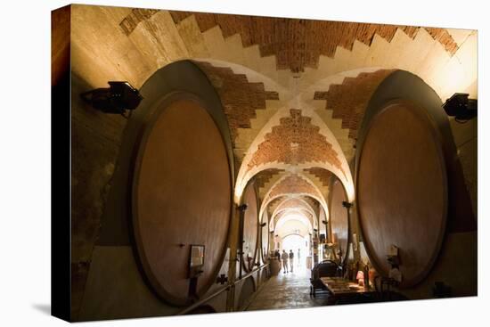 Interior of Wine Cellar (Caveau) of Chateau de Ventenac-En-Minervois, Languedoc-Roussillon, France-Nick Servian-Premier Image Canvas