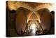 Interior of Wine Cellar (Caveau) of Chateau de Ventenac-En-Minervois, Languedoc-Roussillon, France-Nick Servian-Premier Image Canvas