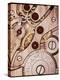 Internal Cogs And Gears of a 17-jewel Swiss Watch-David Parker-Premier Image Canvas