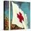 International Red Cross Flag-English School-Premier Image Canvas