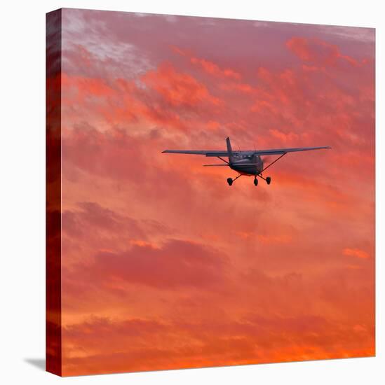 Into the Sunset-Steven Maxx-Premier Image Canvas