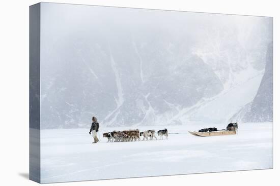 Inuit Hunter Walking His Dog Team on the Sea Ice in a Snow Storm, Greenland, Denmark, Polar Regions-Louise Murray-Premier Image Canvas