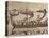 Invasion Fleet, Bayeux Tapestry, France-Walter Rawlings-Premier Image Canvas