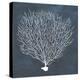 Inverse Sea Fan IV-Grace Popp-Stretched Canvas