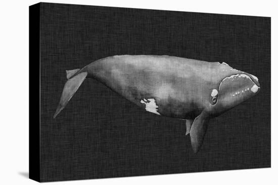 Inverted Whale II-Grace Popp-Stretched Canvas