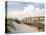 Inviting Boardwalk through the Sand Dunes on a Beautiful Beach in the Early Morning. Beautiful Puff-forestpath-Premier Image Canvas