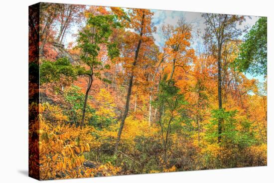 Inwood Park Horizontal-Robert Goldwitz-Premier Image Canvas