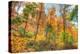 Inwood Park Horizontal-Robert Goldwitz-Premier Image Canvas