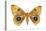 Io Moth (Automeris Io), Insects-Encyclopaedia Britannica-Stretched Canvas