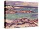 Iona-Samuel John Peploe-Premier Image Canvas