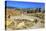 Ionic Columns, Oval Plaza, Roman City, Jerash, Jordan.-William Perry-Premier Image Canvas