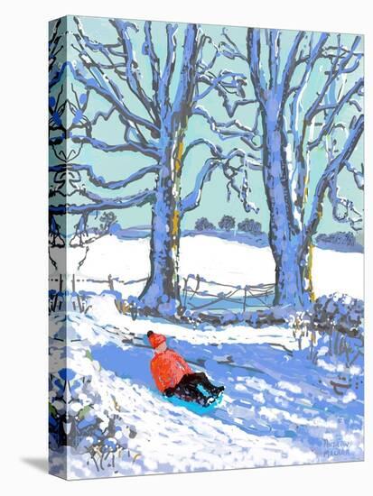 IPad painting, Sledging in Derbyshire, 2021(Ipad print)-Andrew Macara-Premier Image Canvas