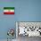 Iran Flag Design with Wood Patterning - Flags of the World Series-Philippe Hugonnard-Stretched Canvas displayed on a wall