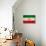 Iran Flag Design with Wood Patterning - Flags of the World Series-Philippe Hugonnard-Stretched Canvas displayed on a wall