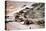 Iraqi Armored Column During Operation Desert Storm, Mar. 4 1991-null-Stretched Canvas