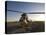 Iraqi Helicopter Sits on the Flight Deck Abandoned at Camp Warhorse-Stocktrek Images-Premier Image Canvas